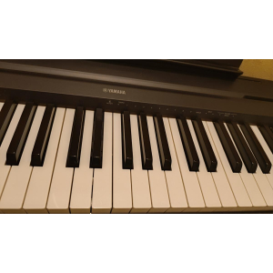 The Yamaha P-45 is a digital piano suitable for both beginners and experienced players. It offers a realistic feel and sound, ma