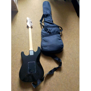 Aria Série Pro II SL-SPL-1BK