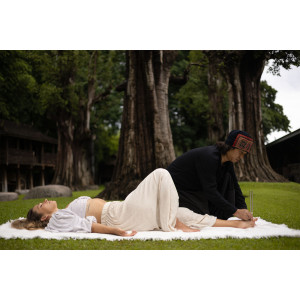 Diapason Sonic Energy Tmc Therapy, Earth