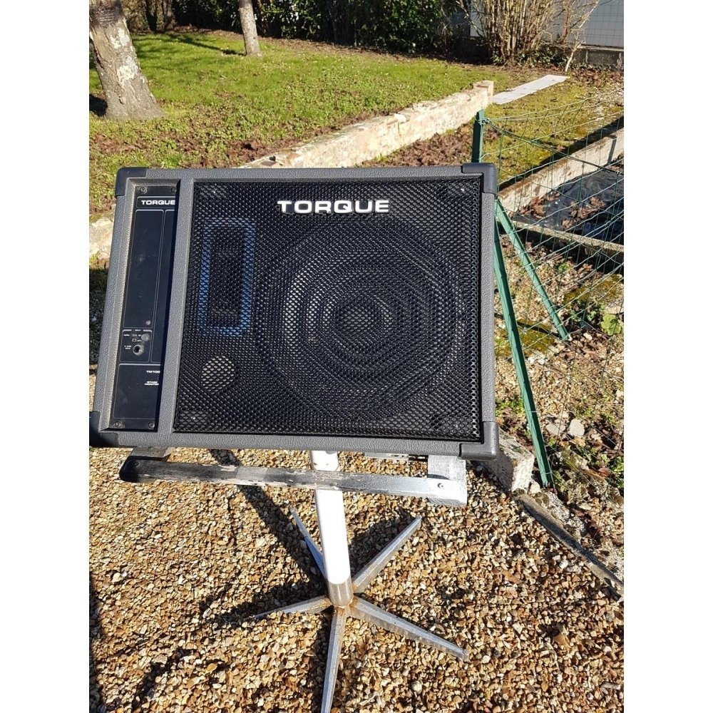 Torque TM100 passive stage monitor pair with fly case