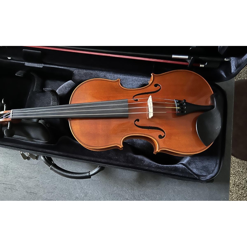 Alto Viola 38cm + Bam case and 2 bows