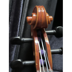 Alto Viola 38cm + Bam case and 2 bows
