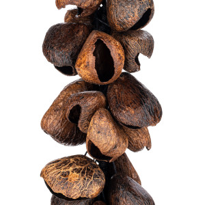 Waterfall Meinl Pan Seed Shells