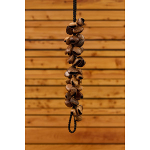 Waterfall Meinl Pan Seed Shells