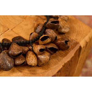 Waterfall Meinl Pan Seed Shells