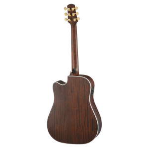Guitare Walden Dreadnought D603cew