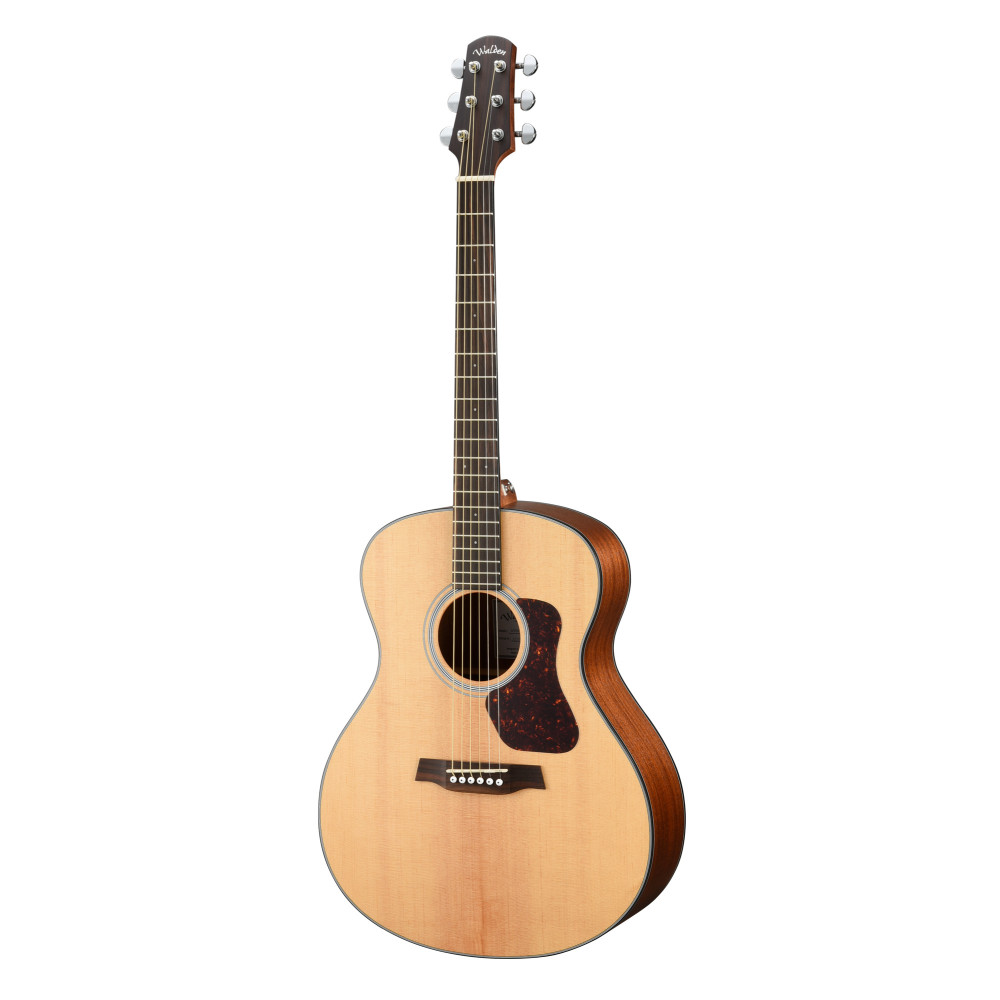 Guitare Walden G.auditorium G550ew