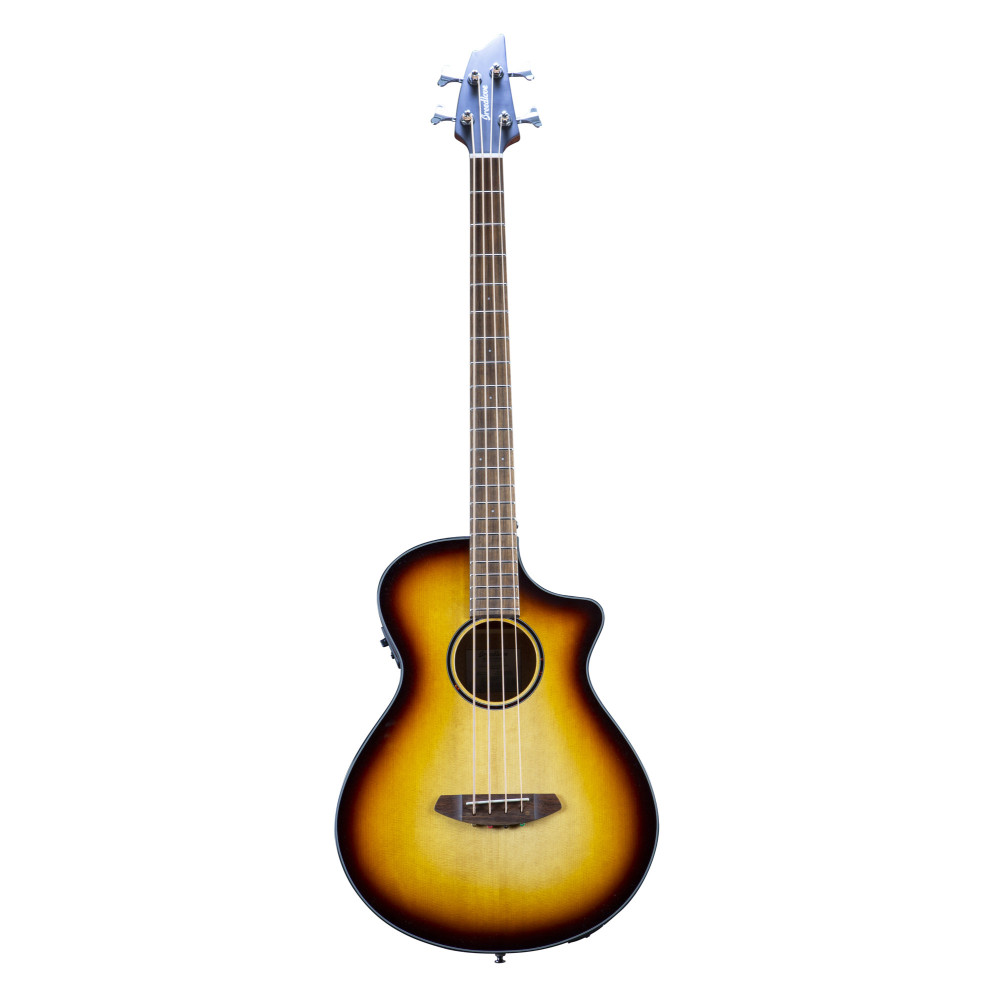 Breedlove Discovery S Concert Edge Bass