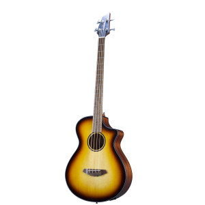 Breedlove Discovery S Concert Edge Basse