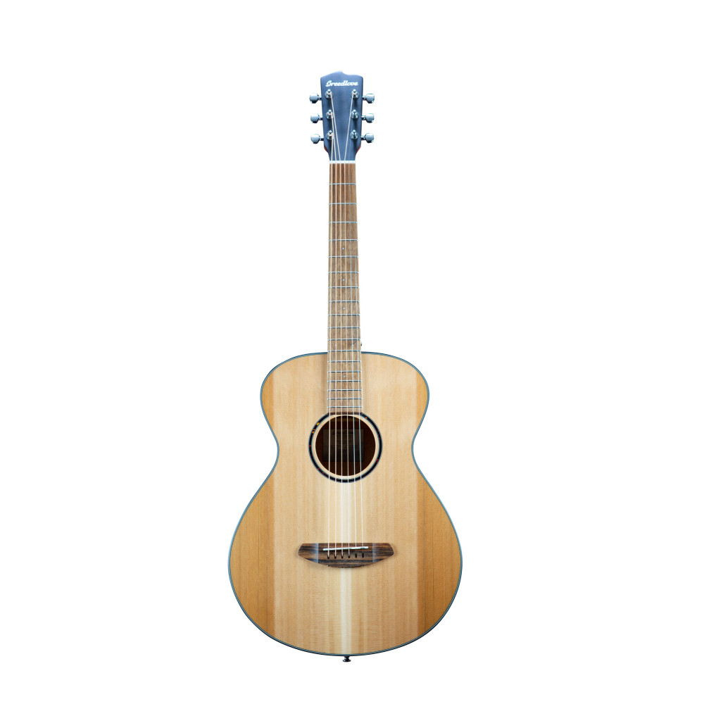 Breedlove Discovery S Concertina