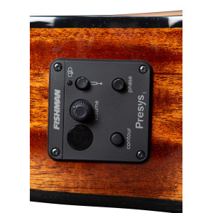 Breedlove Discovery S Concert Nylon Ce