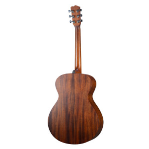 Breedlove Discovery S Concerto