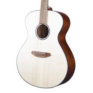 Breedlove Discovery S Concerto