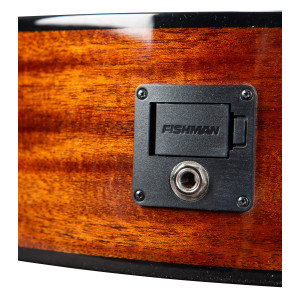 Breedlove Discovery S Concerto Ce Edge