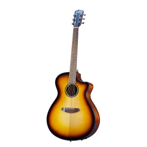 Breedlove Discovery S Concerto Ce Edge