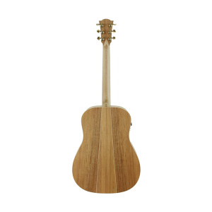 Guitare Cole Clark Fl2e, Etui