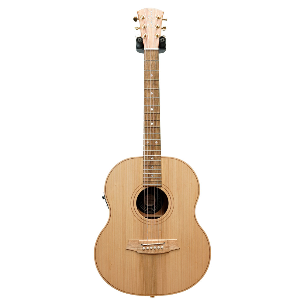 Cole Clark LL2E Guitar, Case