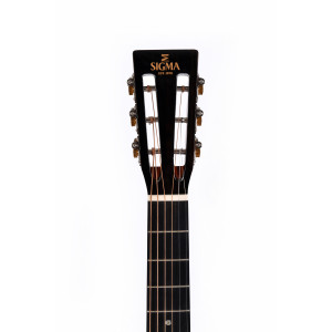 Sigma Series All Solid S000m-18s Ssc Case