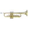 Antigua B-flat Trumpet Tr2561lq