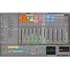 Ableton LIVE suite 11.6