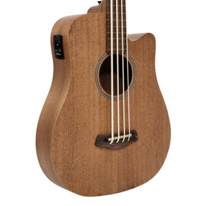 Gold Tone M-bass25/fl