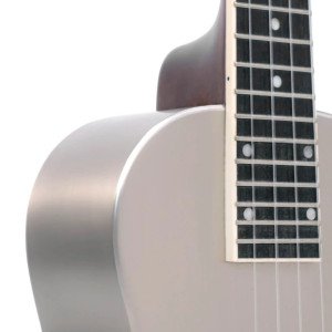 Gold Tone Resouke Concert