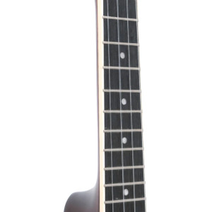 Gold Tone Resouke Concert