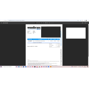 IBANEZ S521 Blackberry - COMME NEUVE (Achat Déc. 2025 Sous garantie) + house