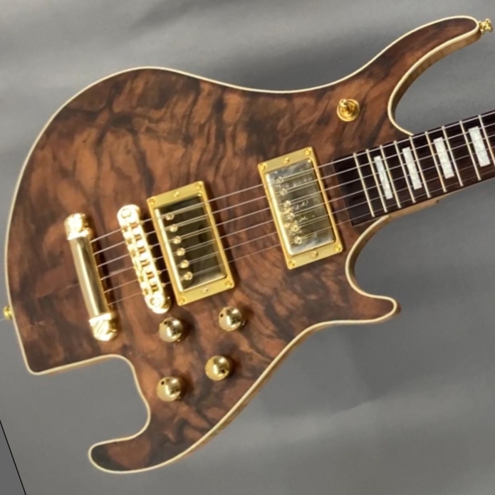 Electric guitar luthier