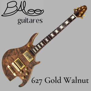 Electric guitar luthier