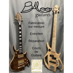 Electric guitar luthier