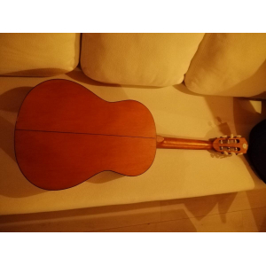 Fender Acoustics ESC105