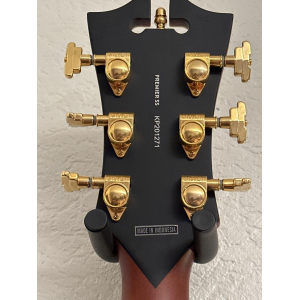 D'angelico ss grateful dead