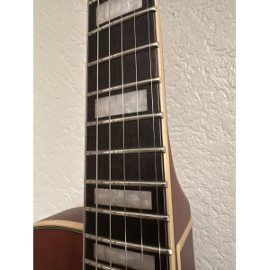 D'angelico ss grateful dead