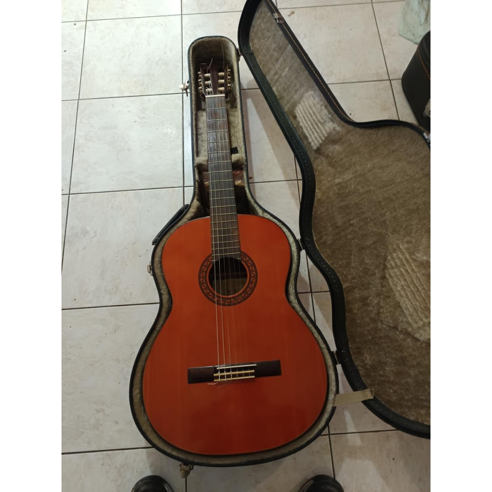 Suzuki Classical Guitar