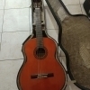 Suzuki guitare classique