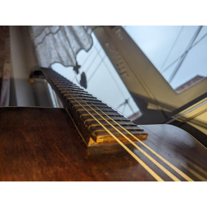 Jacques Favino Jazz Manouche/Archtop 1950 (Father)