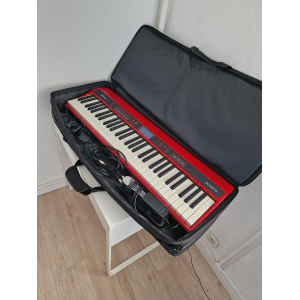 Roland GO:KEYS 61K MIDI 2 avec Housse et Câble Jack Stéréo