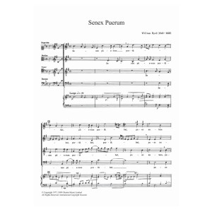 Senex Puerum