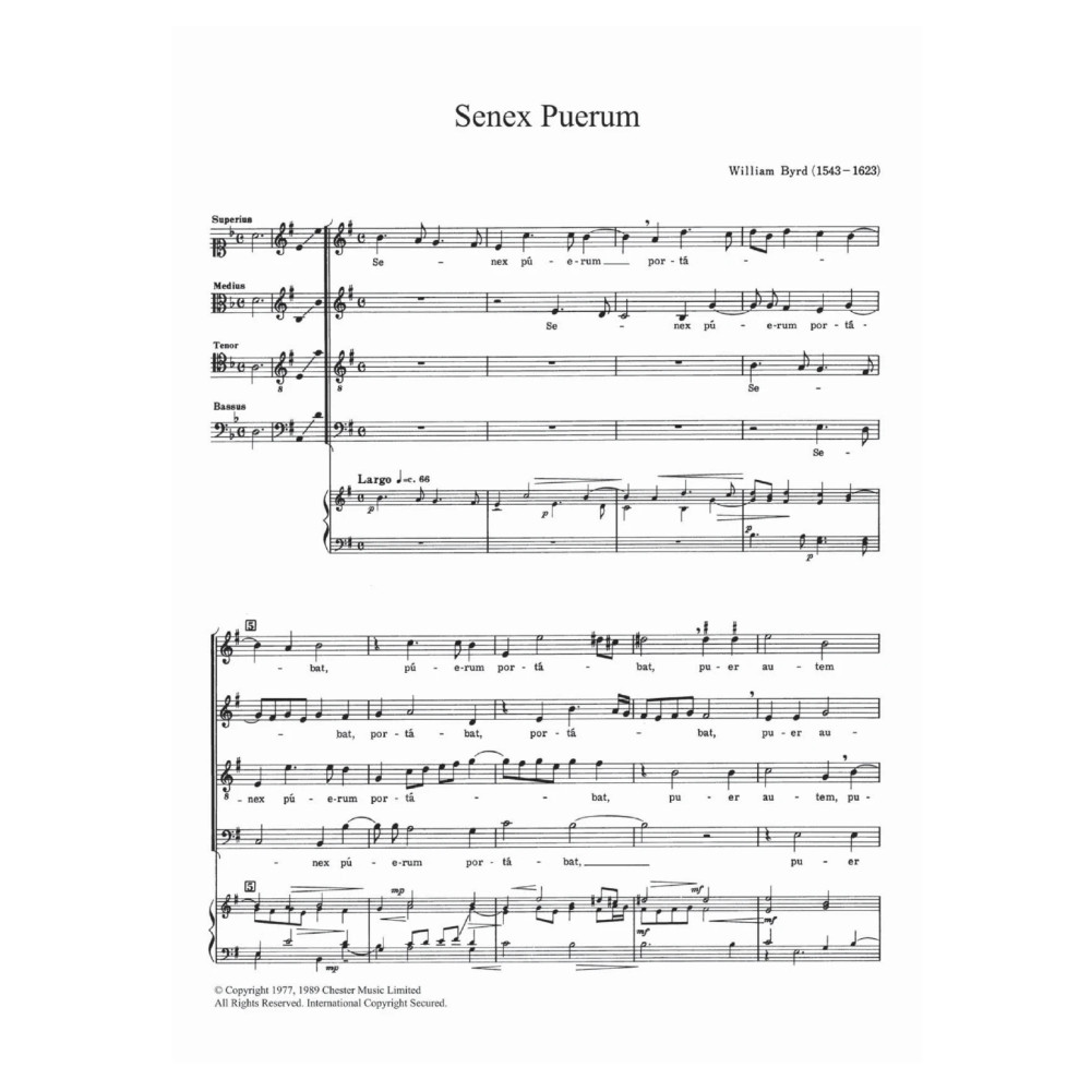 Senex Puerum