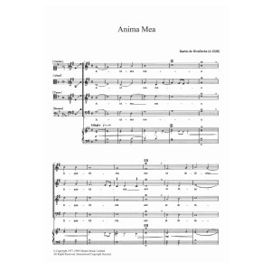 Anima Mea