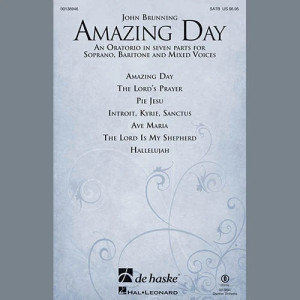 Amazing Day - Harp