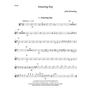 Amazing Day - Viola