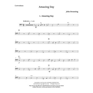 Amazing Day - Double Bass