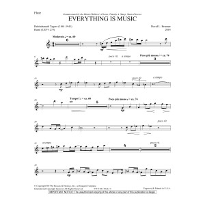 Everything Is Music - Flute