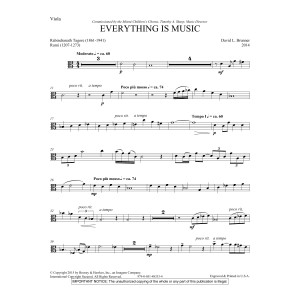 Everything Is Music - Viola