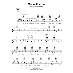 Moon Shadow