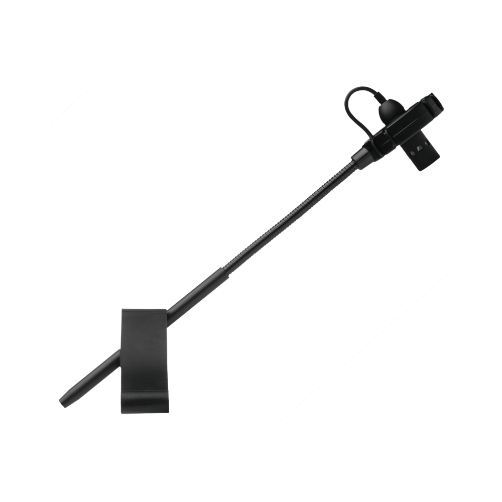 BL21 LANEN