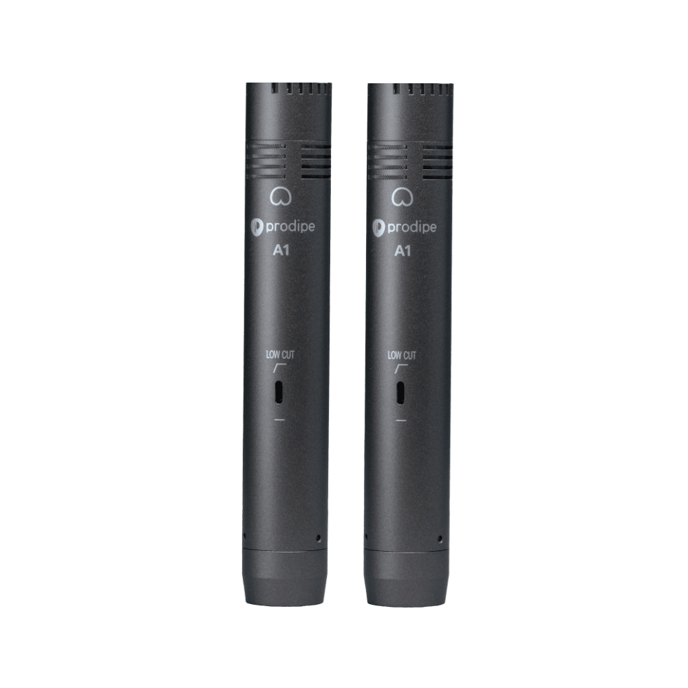 A1 DUO
