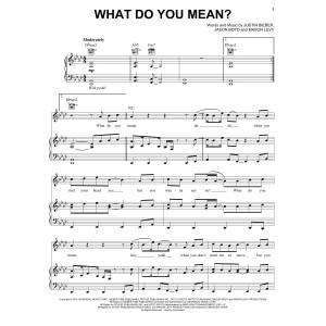 What Do You Mean?